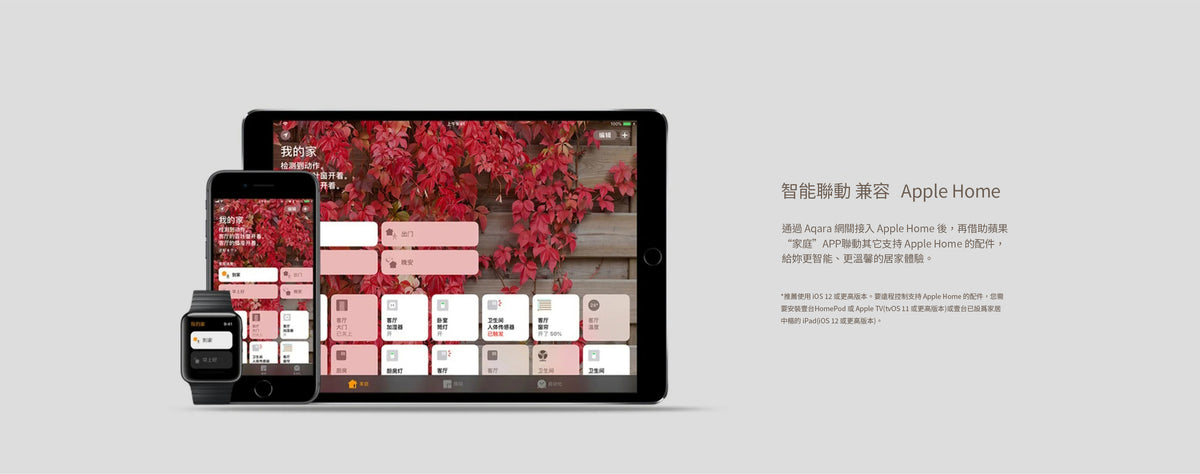 Aqara 無線迷你開關 T1